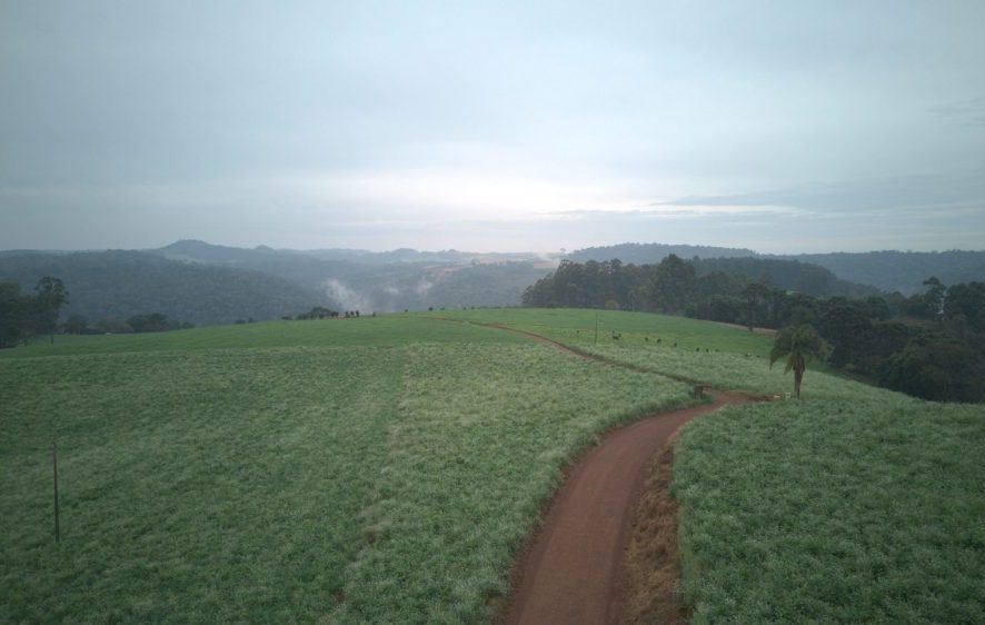 Com mais de 2,3 mil kits entregues, Solo Saudável impulsiona produtividade e preserva a terra