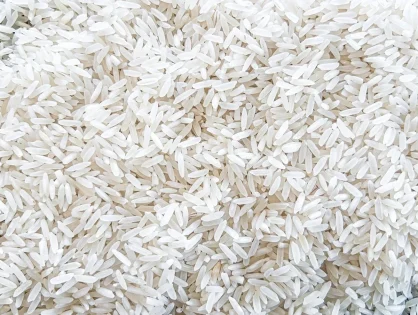 Medidas do Governo Federal são insuficientes diante de cenário enfrentado pelas indústrias catarinenses