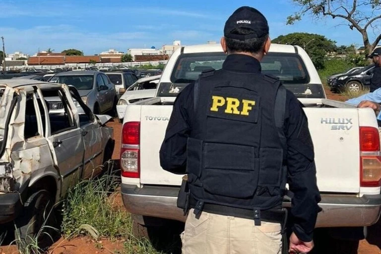 PRF promove leilão de 651 veículos apreendidos ou abandonados em rodovias federais de SC