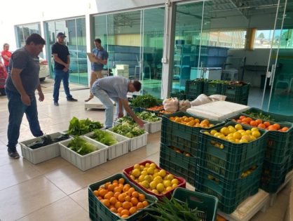 Novo edital do Programa de Aquisição de Alimentos em SC disponibiliza mais de R$ 3 milhões