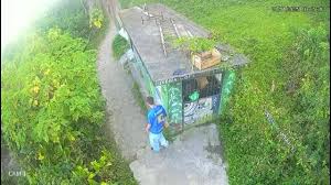 Pelo Estado 25/11: Até quando as mulheres terão seus direitos violados?