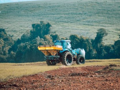 Novos projetos tratam de meio ambiente, segurança e proteção animal