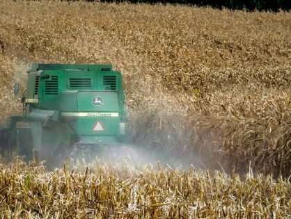 Pelo Estado Entrevista: Geovania de Sá, deputada federal