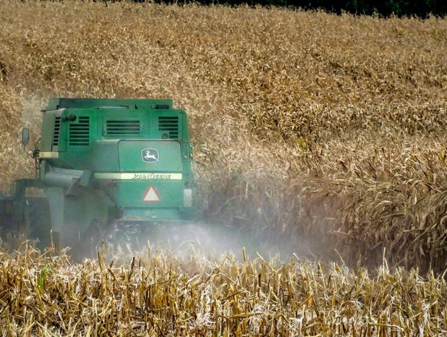 Pelo Estado Entrevista: Geovania de Sá, deputada federal