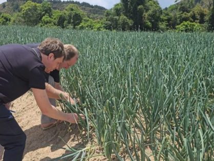 Safra Garantida SC reforça a proteção das lavouras em Santa Catarina
