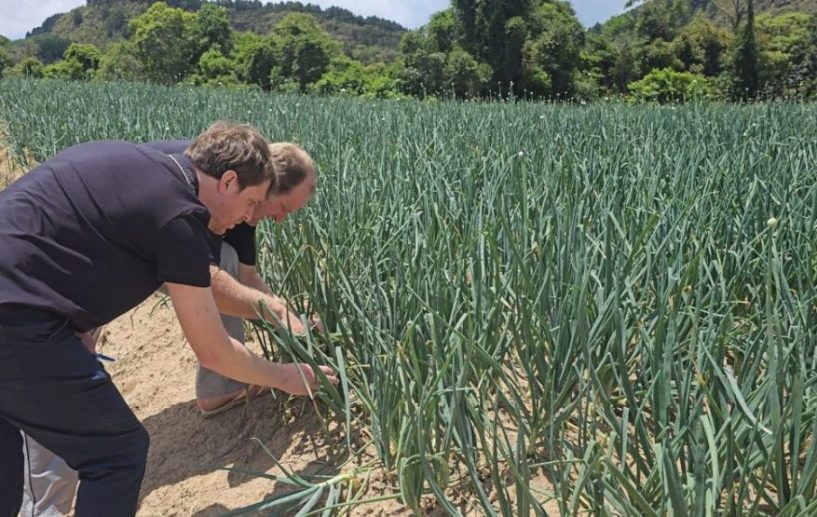 Safra Garantida SC reforça a proteção das lavouras em Santa Catarina