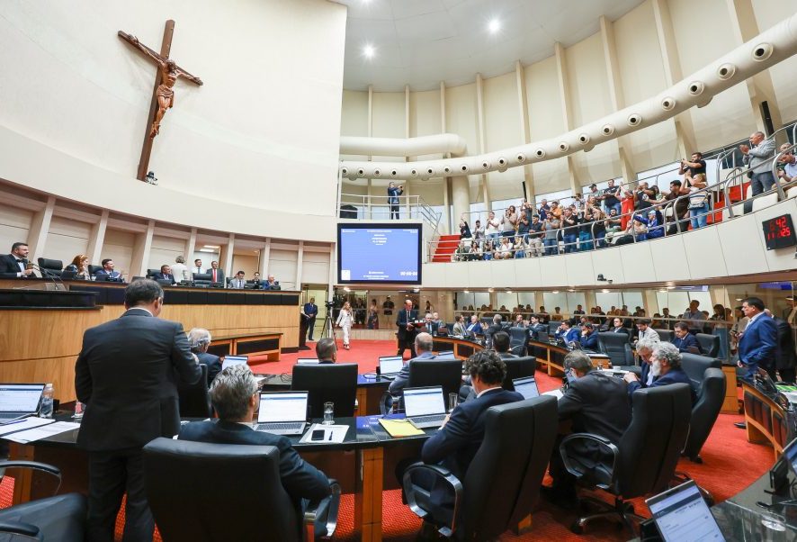 Plenário aprova projeto que proíbe reconstituição de leite em pó importado