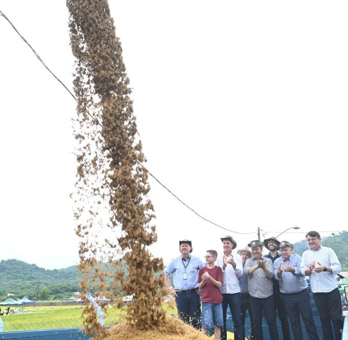 Colheita de Arroz de Santa Catarina inicia nesta sexta-feira