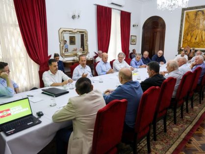 Governador recebe representantes do setor produtivo do arroz para tratar sobre os desafios desta safra