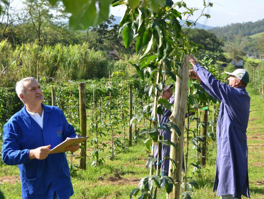 Governo do Estado e Epagri vão investir R$ 7,8 milhões em projetos de inovação agropecuária