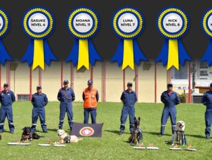 Corpo de Bombeiros Militar de Santa Catarina tem os cães de resgate mais preparados do país para atuar em cenários extremos