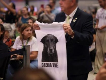 BrasilJustiça Decreto “Justiça por Orelha” aumenta punições para quem maltratar animais no Brasil