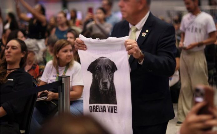 BrasilJustiça Decreto “Justiça por Orelha” aumenta punições para quem maltratar animais no Brasil