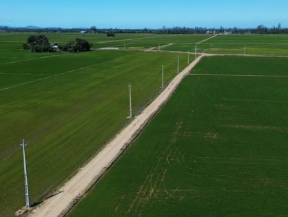 Ampliação da rede trifásica fortalece produção rural em Santa Catarina