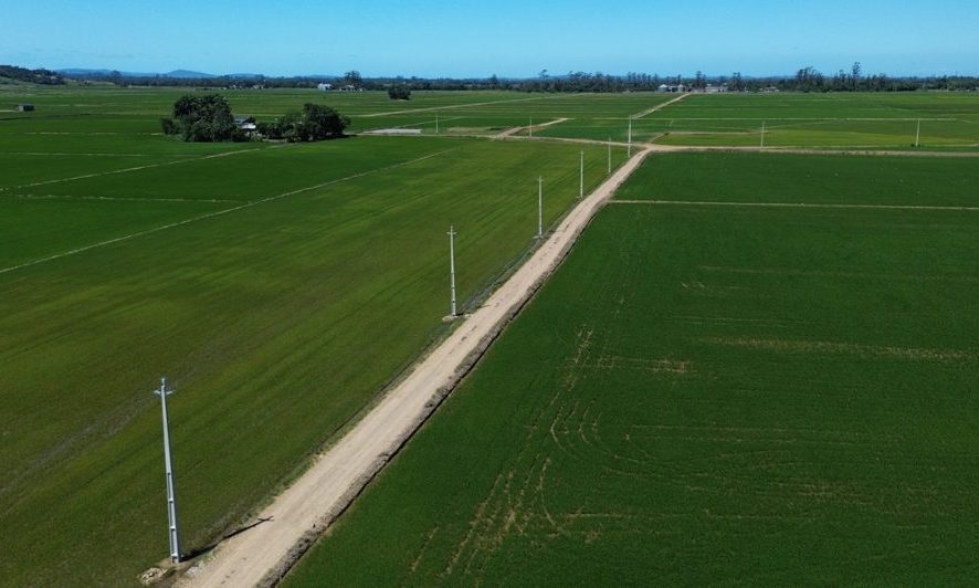 Ampliação da rede trifásica fortalece produção rural em Santa Catarina