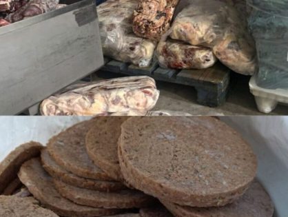 Operação contra fraude alimentar interdita frigorífico no Oeste de SC