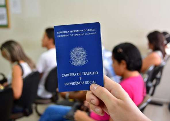 Mulheres ocupam 44,5% dos vínculos empregatícios em estabelecimentos com 100 ou mais empregados em Santa Catarina