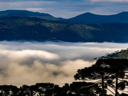 Santa Catarina terá frio intenso e geada neste fim de semana