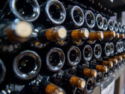 Número de vinícolas cresceu 29% em Santa Catarina desde 2020