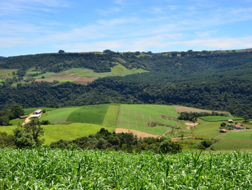 Pelo Estado 01/05: Cooperativas impulsionam a economia de Santa Catarina