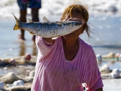 Santa Catarina deve ter acréscimo de 400 toneladas na cota da tainha