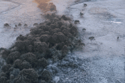 VÍDEO: Serra Catarinense registra forte geada e temperaturas negativas nesta quarta-feira