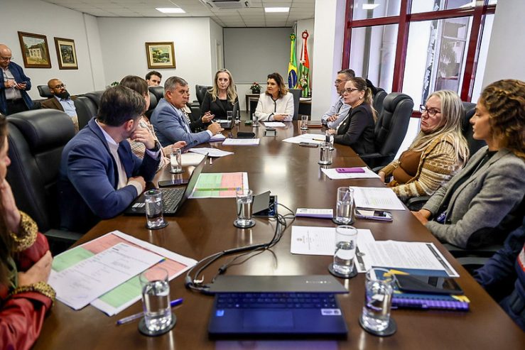 Vice-governadora recebe atualização do Plano Estadual de Combate à Violência Contra a Mulher