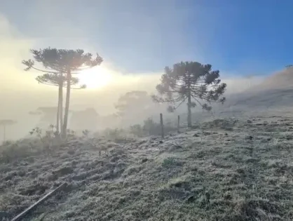 Santa Catarina amanhece com frio intenso e registra -6,1°C nesta quarta-feira