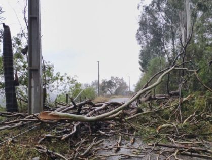 Municípios catarinenses decretam situação de emergência após temporais com granizo