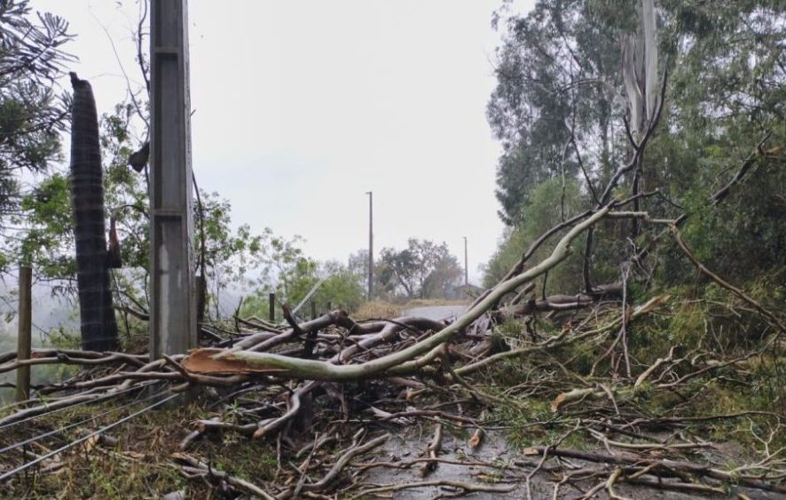 Municípios catarinenses decretam situação de emergência após temporais com granizo