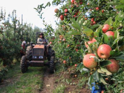 Tecnologia, crédito e conhecimento servem de estímulo à fixação do jovem no meio rural