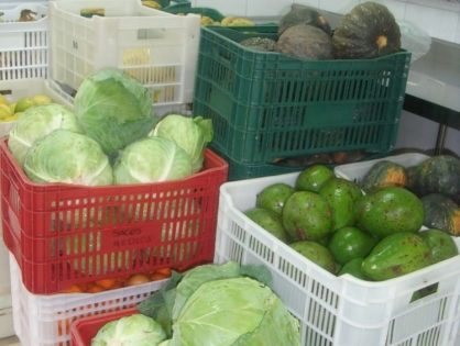Banco de Alimentos fortalece rede socioassistencial