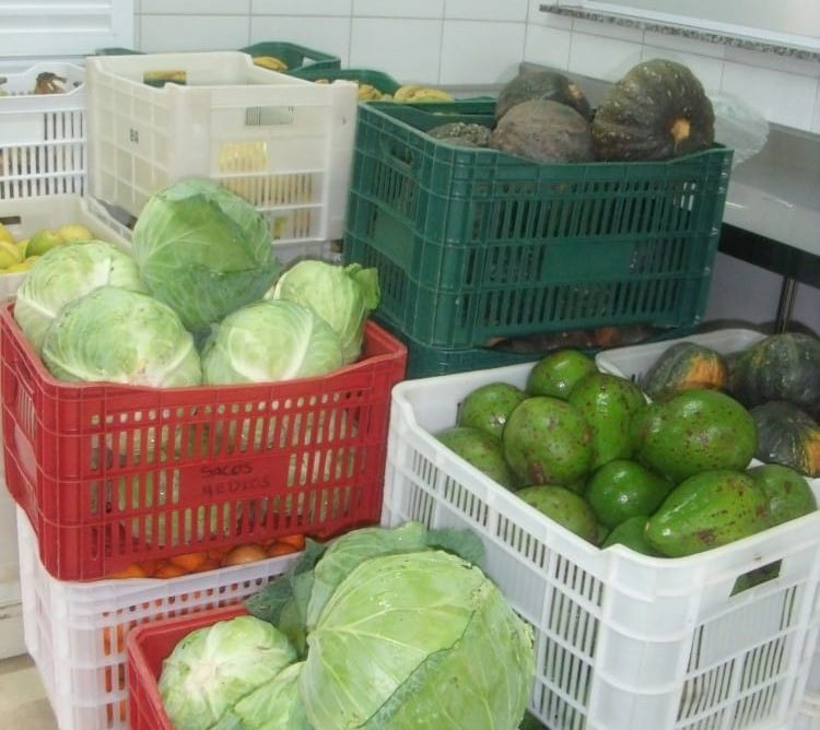 Banco de Alimentos fortalece rede socioassistencial