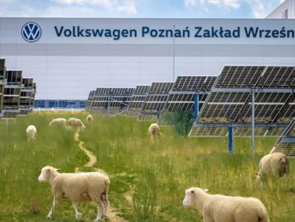 Em vez de robôs, Volkswagen ‘contrata’ 100 ovelhas para resolver problema em 31 mil painéis solares que humanos não conseguem