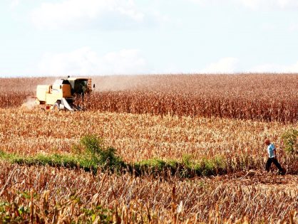 Pelo Estado 02/10: Carga tributária é o principal obstáculo para economia catarinense