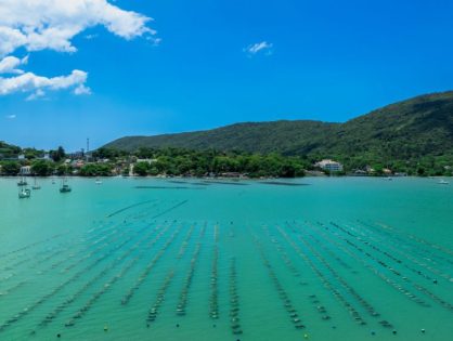 Do mar ao desenvolvimento: Santa Catarina reúne força econômica para avançar na Economia Azul