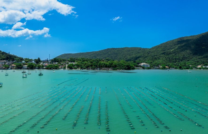 Do mar ao desenvolvimento: Santa Catarina reúne força econômica para avançar na Economia Azul